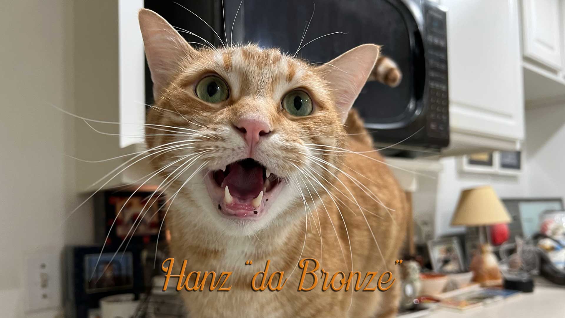 Hanz "da Bronze" with name
